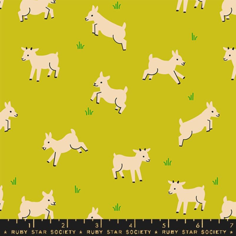 Baby Goats - Pistachio