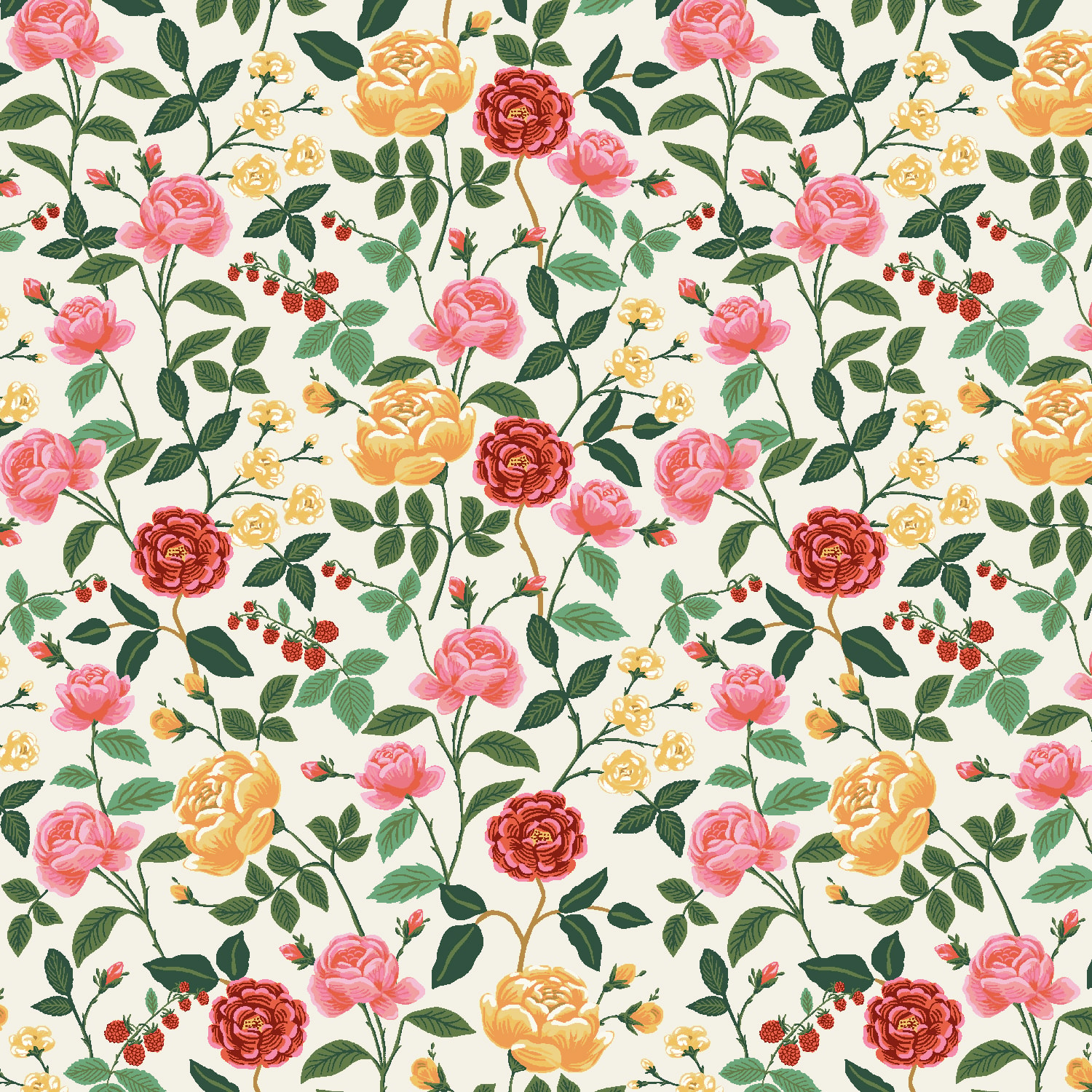 English Roses - Cream