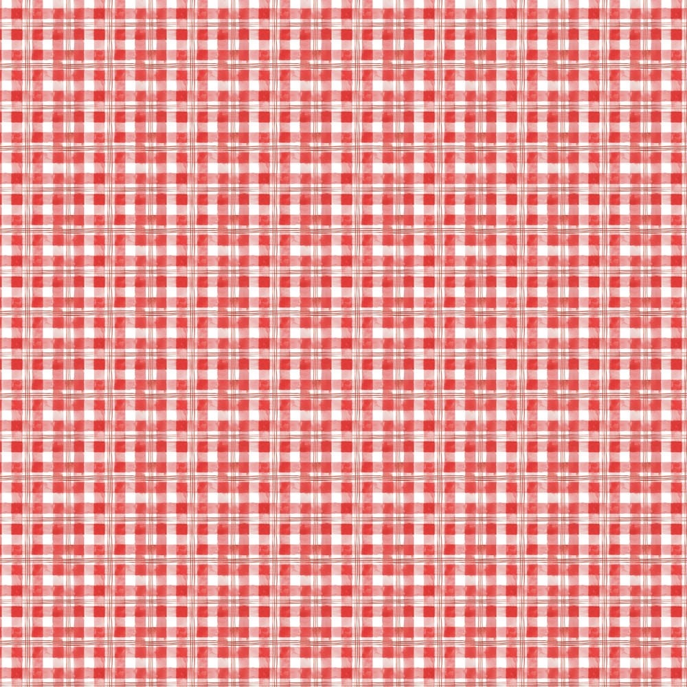 Feild Trip Gingham - Red