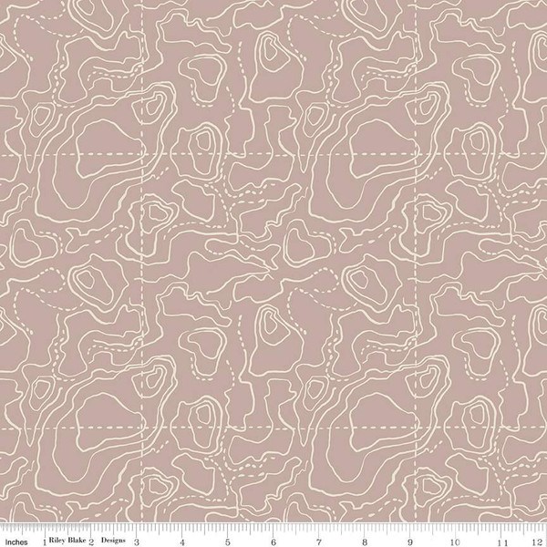 Riley Blake - Wildwood Wander Fat Quarter Bundle 21 pcs